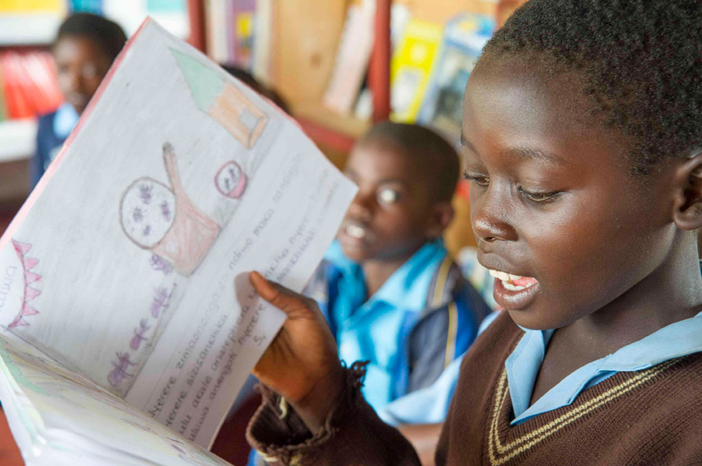 literacy in zambian education