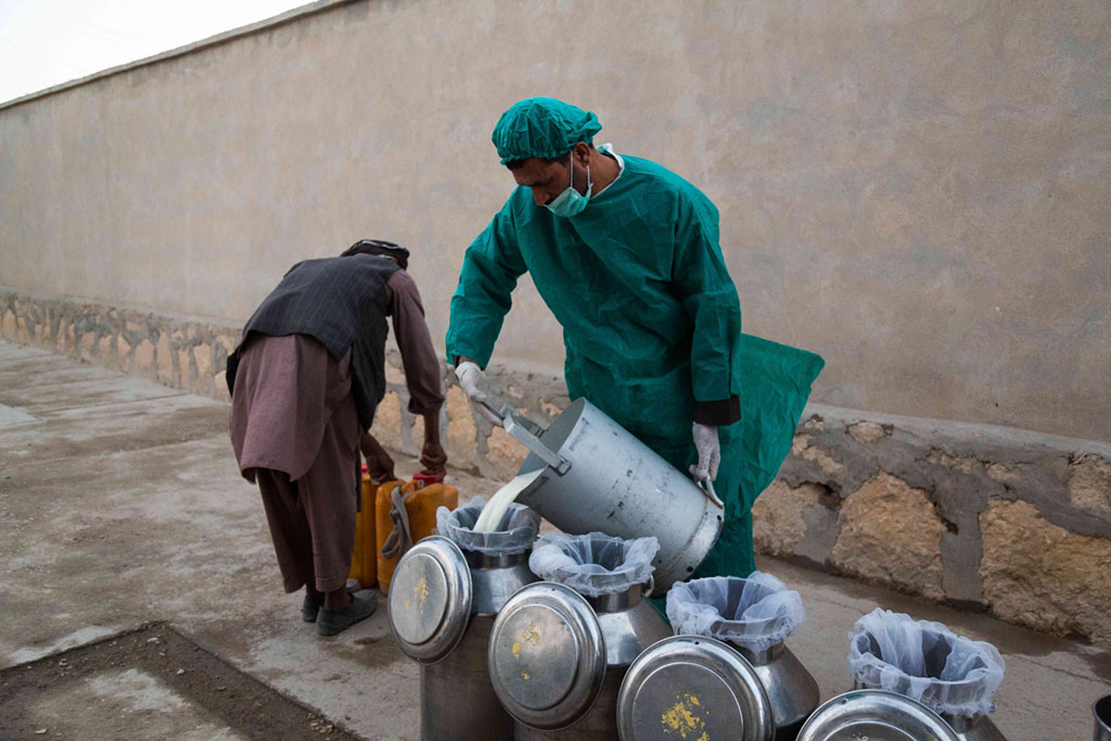 Balkh Dairy staff prepare milk for transport.