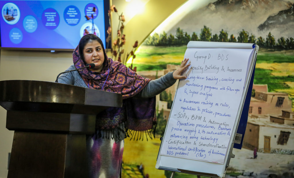 presenter at Afghan exporters roundtable
